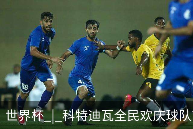 世界杯 | 科特迪瓦全民欢庆球队首进淘汰赛