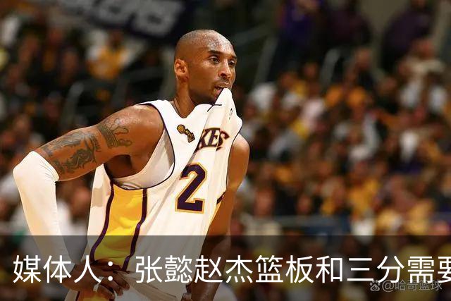 媒体人：张懿赵杰篮板&三分需要提高 张淳智表现酷似上届陈家政